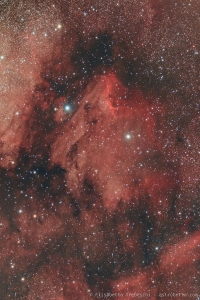 IC5070 Nebulosa Pellicano - Elisabetta Trebeschi